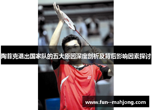 陶菲克退出国家队的五大原因深度剖析及背后影响因素探讨 陶菲克退出国家队的五大原因深度剖析及背后影响因素探讨